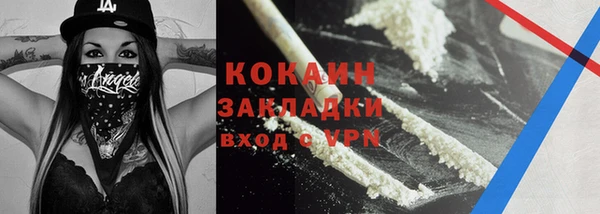 шишки Краснотурьинск