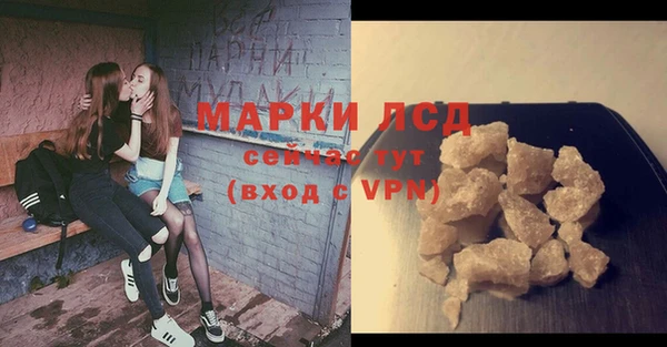 шишки Краснотурьинск